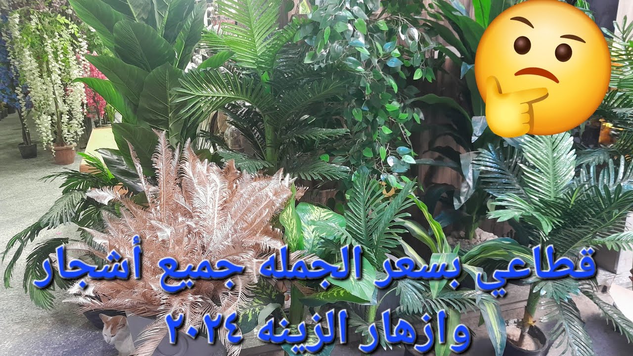 منبع  الزرع الصناعي واشجار الزينه قطاعي بسعر الجمله ٢٠٢٤