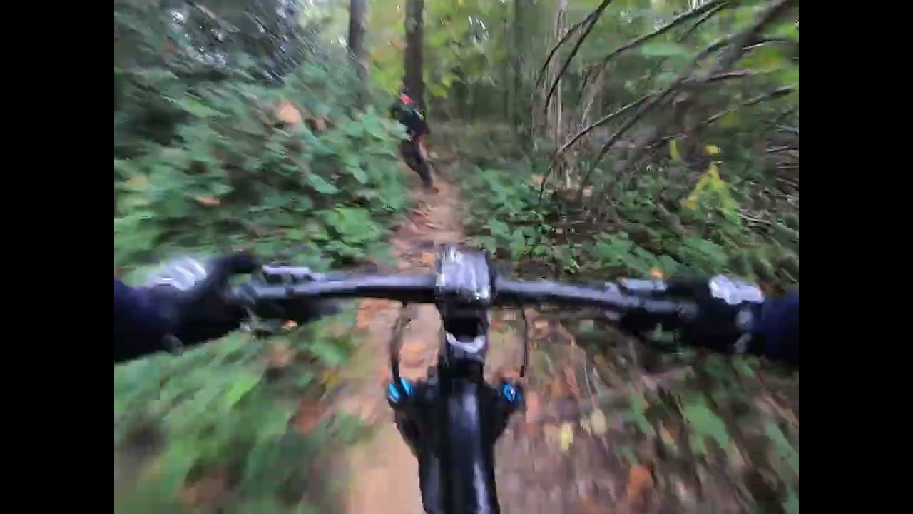 VTT