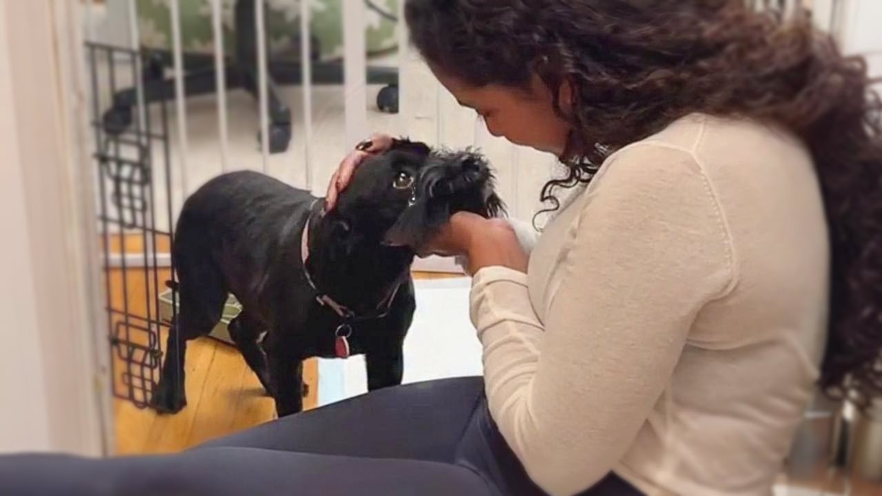 Living Abused & Unwanted, He was Completely Shattered Until This Moment of True Love