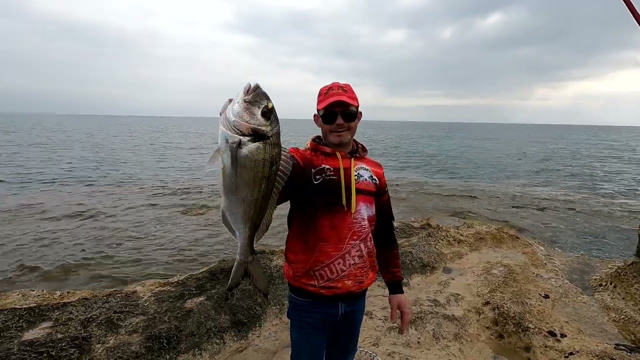 DORADA Y SORPRESA Bonita mañana de Pesca