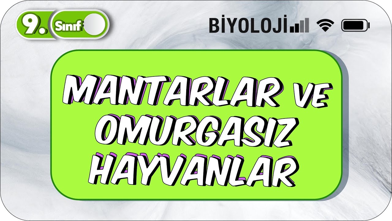 Mantarlar ve Omurgasız Hayvanlar | 9.Sınıf Biyoloji #2023