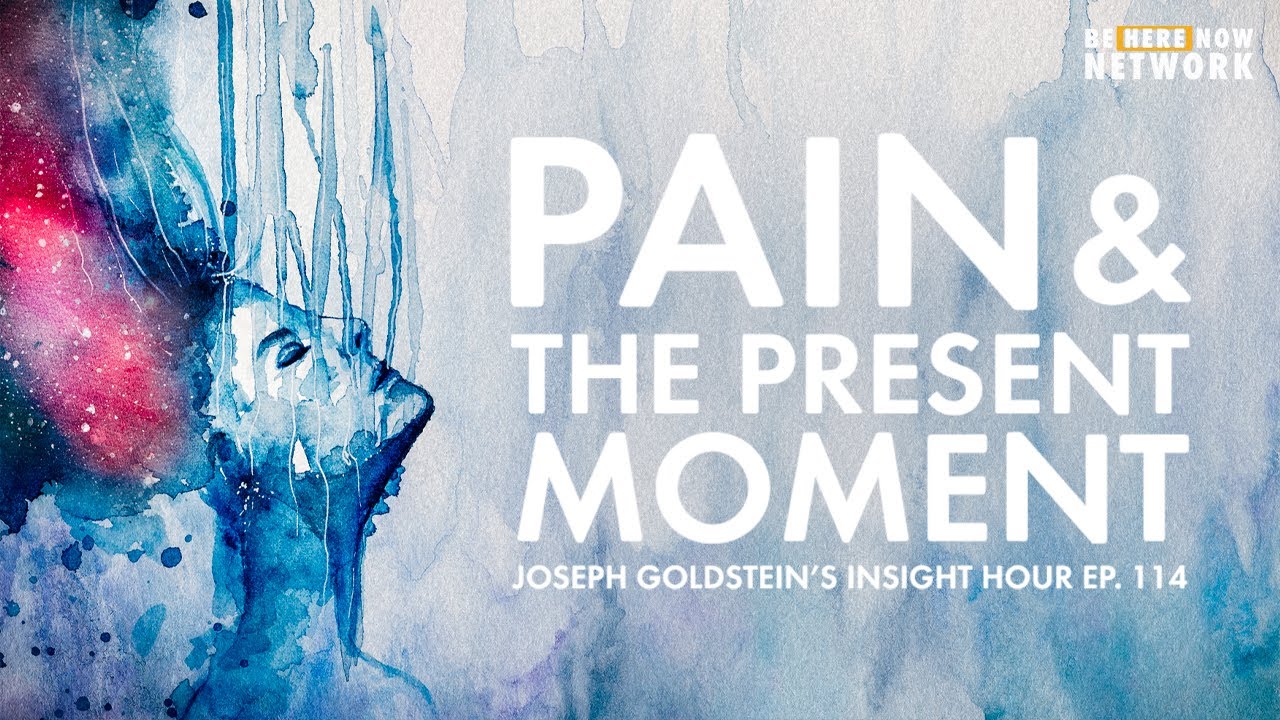 Pain & The Present Moment - Joseph Goldstein's Insight Hour Ep. 114