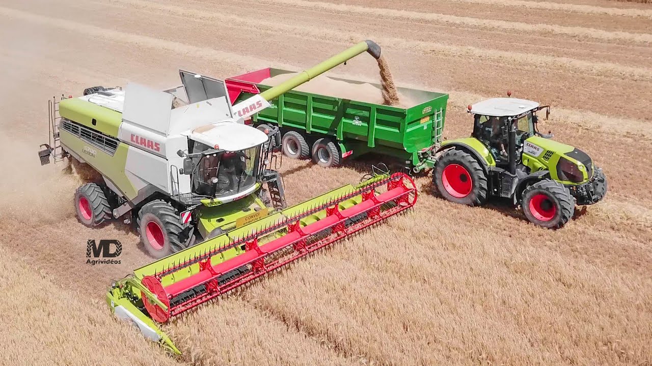 Moisson 2020 🌾 Claas Lexion 6700 🌾 Dousset Matelin