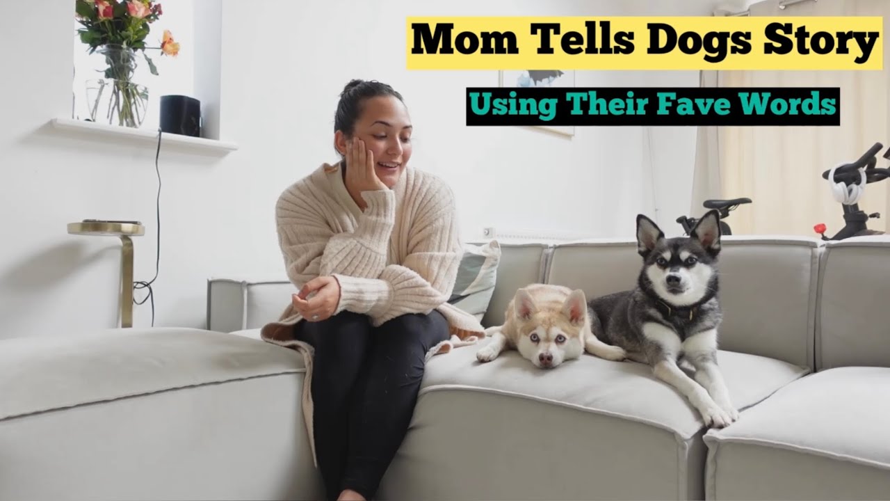 Dramatic Mini Huskies React To Story Using Favourite Words Vs Least Favourite Words