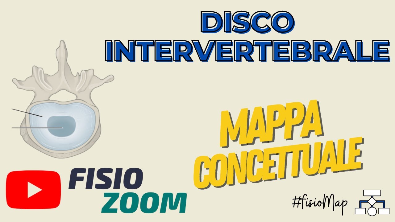 Disco intervertebrale/ #FisioMap