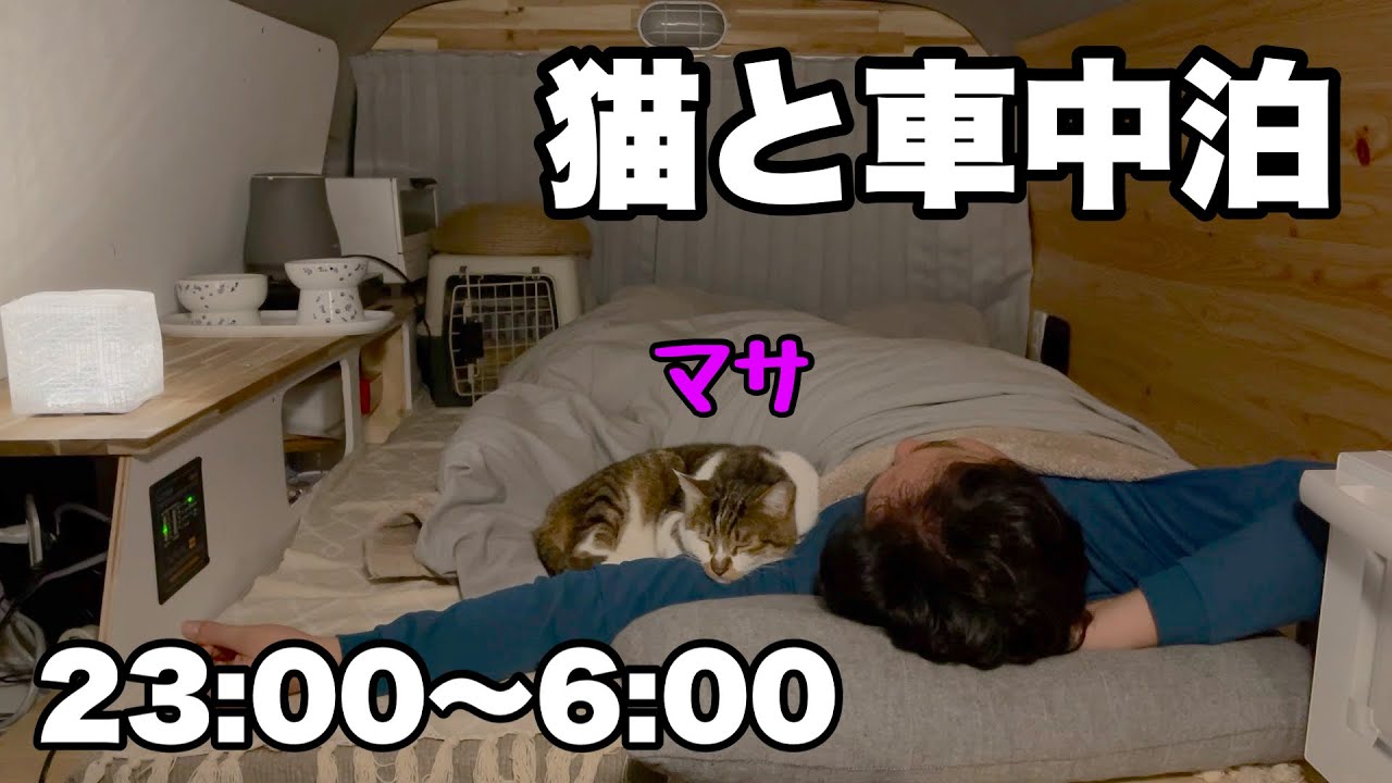 【車中泊】飼い主を好きな猫のマサとの車中泊の様子です。マサは布団の中に入ったり、朝までずっと近くで寝ていたり、おもしろい行動を見せてくれました。
