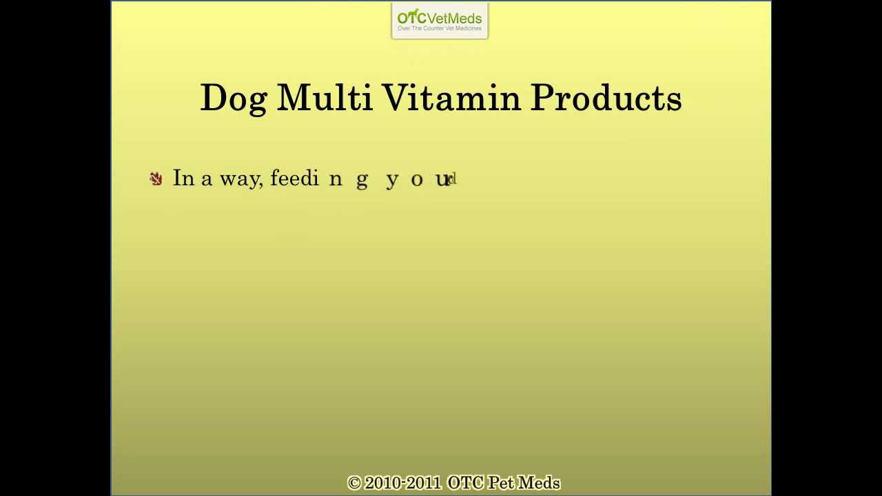 Glucosamine For Dogs