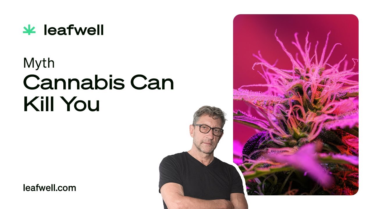 Is Cannabis Safe to Use?
