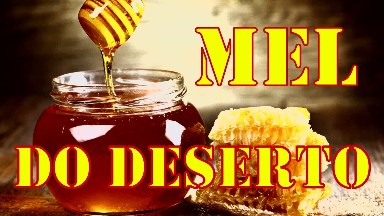 MEL DO DESERTO - UM BRASILEIRO EM ISRAEL / A BRAZILIAN IN ISRAEL