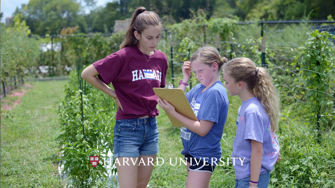 Harvard student Izzy Goodchild-Michelman grows connections