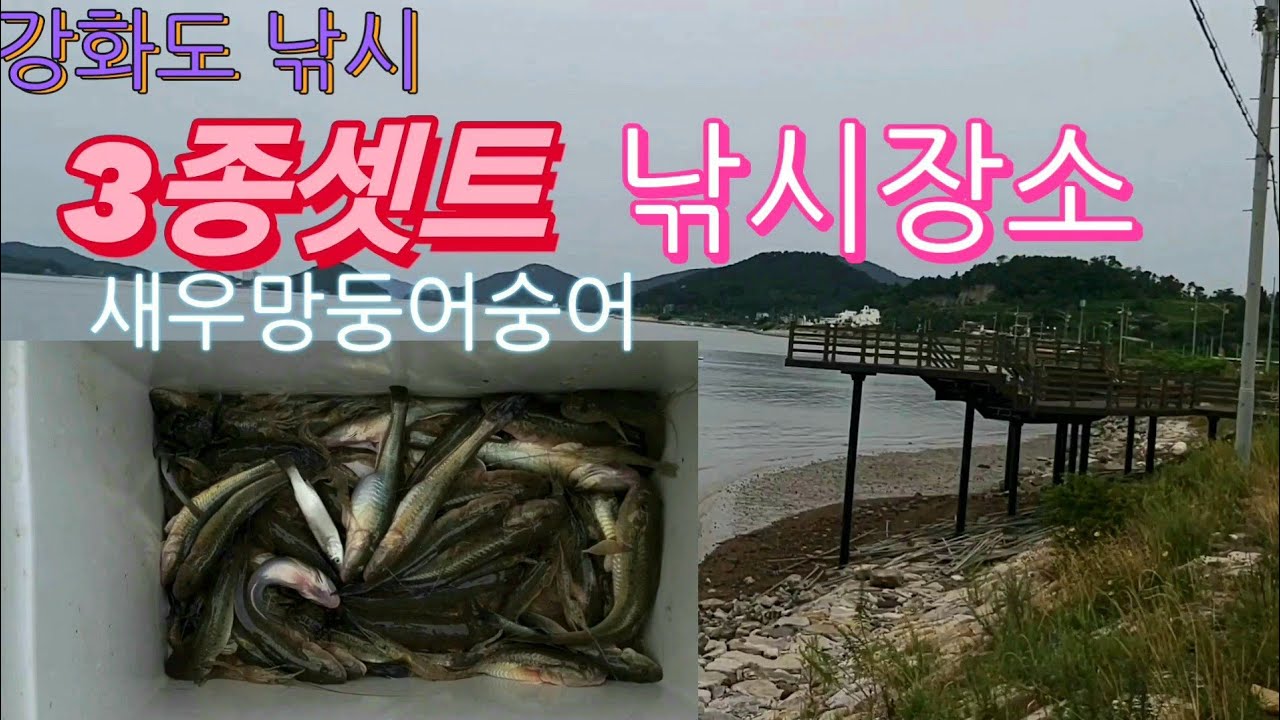 [3종셋트낚시] 강화도 낚시 mud fish 양도면건평리새우+망둥어+숭어 즐길수 있는 장소 (필히)물때 확인 조위 730이상fishing
