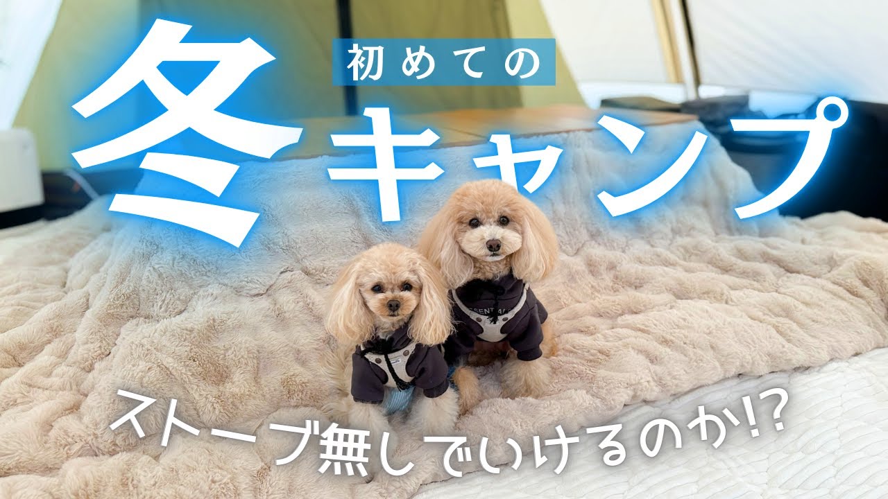 ストーブ無しでいけるのか!?冬キャンプデビュー！【FREE AND EASY CAMP RESORT】