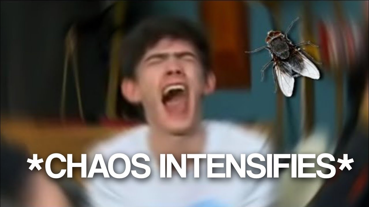 When Heartstopper casts accidentally ate a fly (warning: VERY CHAOTIC)