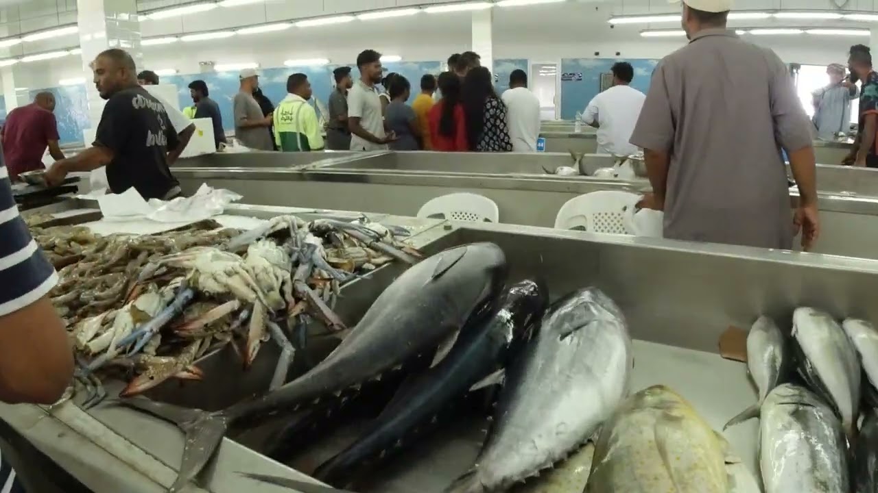 Fish Market in Muttrah, Oman | Catch of the Day