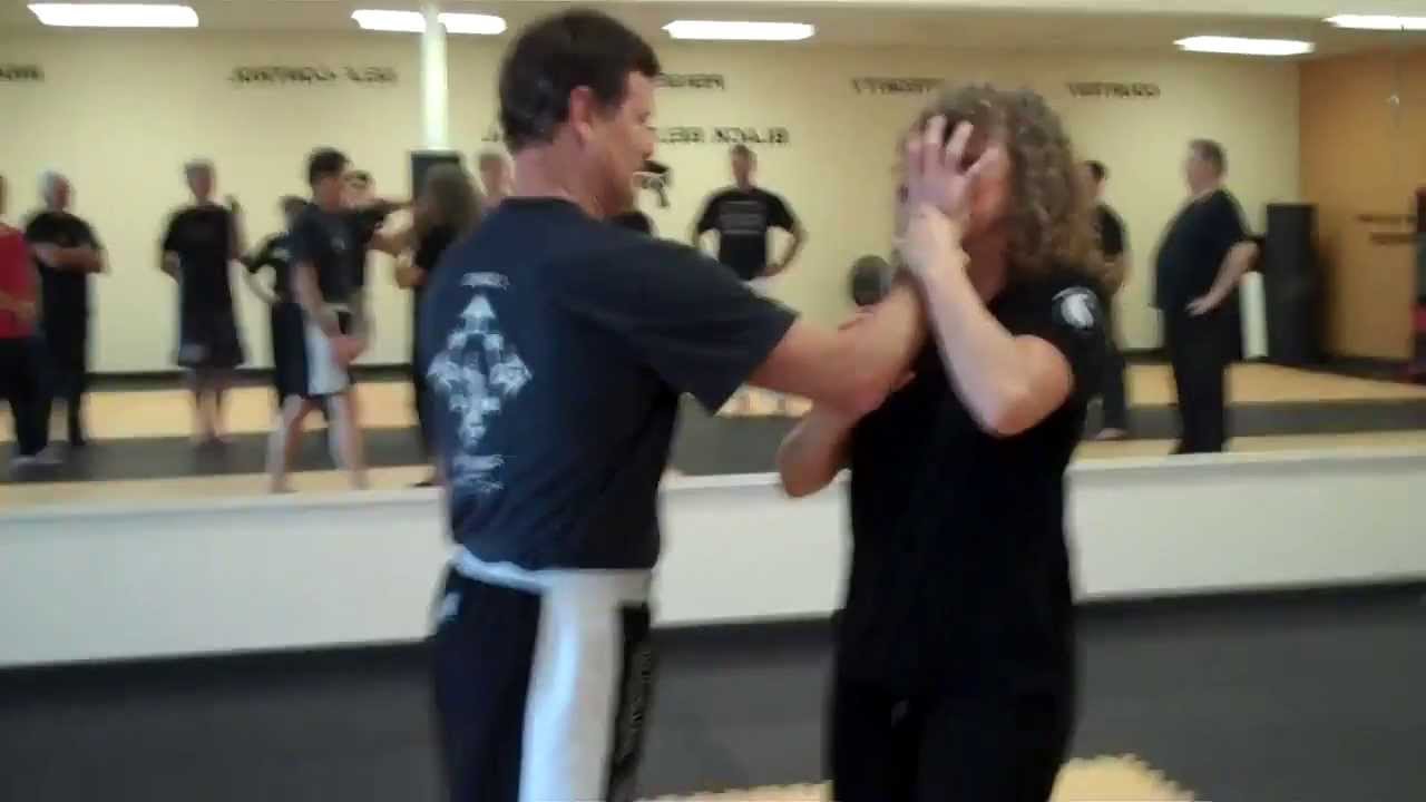 Kathy Long covering Kung Fu San Soo concepts