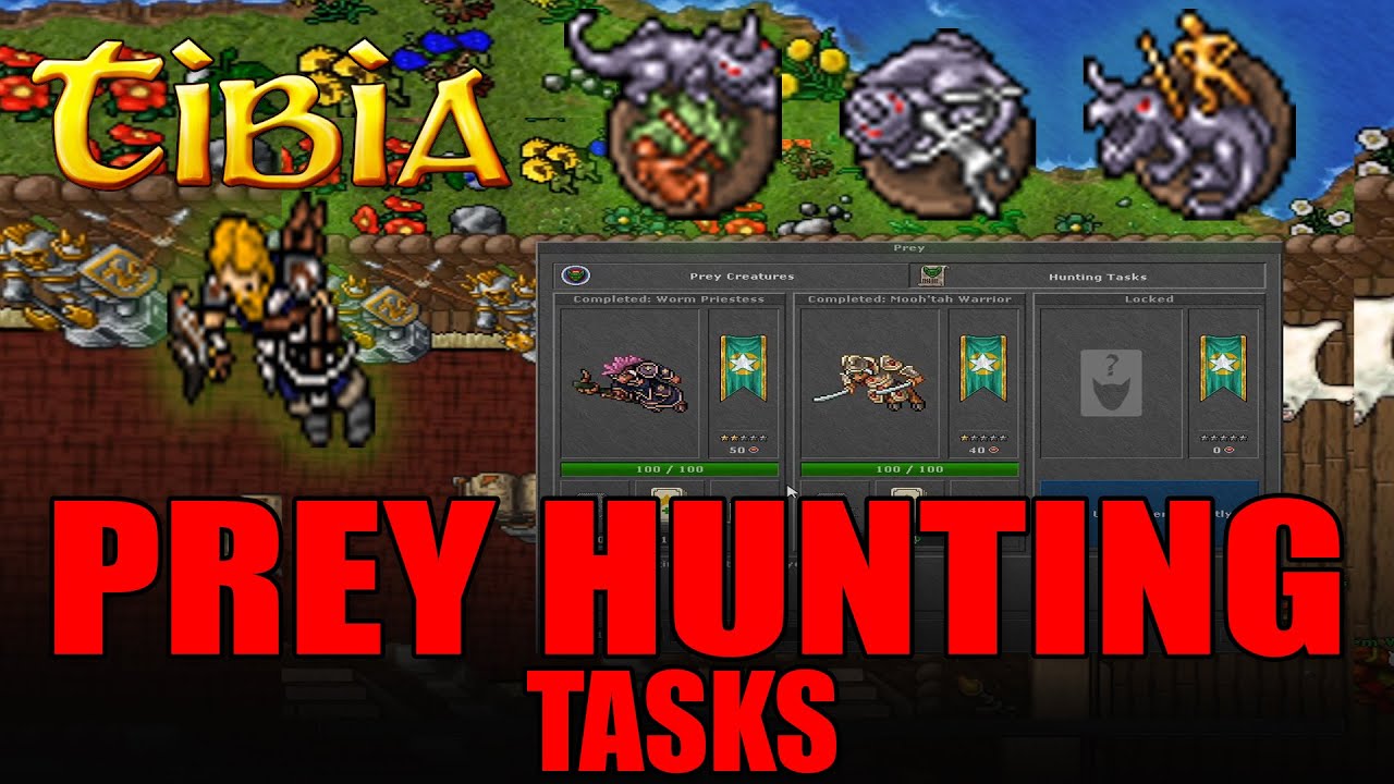 PREY HUNTING TASK - TIBIA - PORADNIK - CO I JAK?