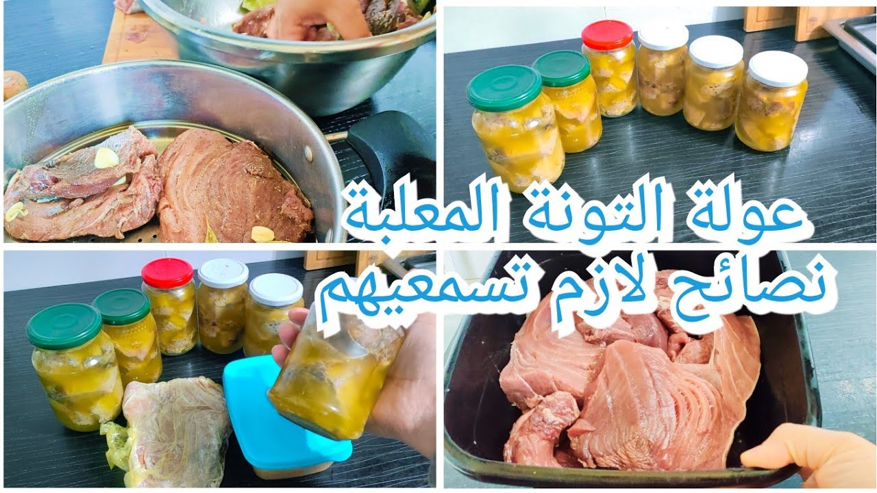 التونة المعلبة خارج الثلاجة لأكثر من سنة تونة مجمدة نصائح غير عندي تلقايهم