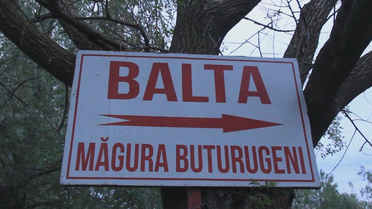 Balta Magura Buturugeni - 20 lei la Rapitor