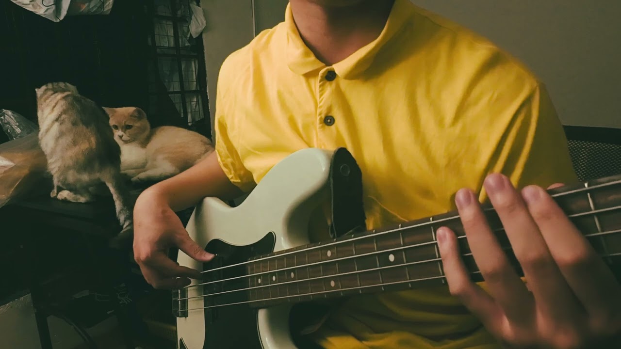 Em trang trí  - Ngọt (bass cover)