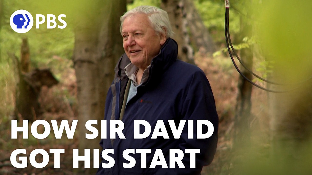 How Sir David Attenborough Got His Start