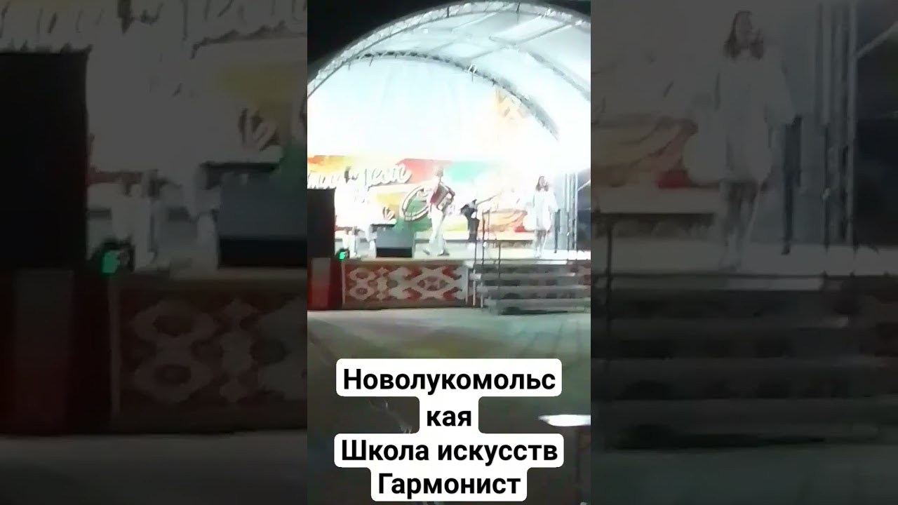 Новолукомольская школа искусств гармонист день города Чашники