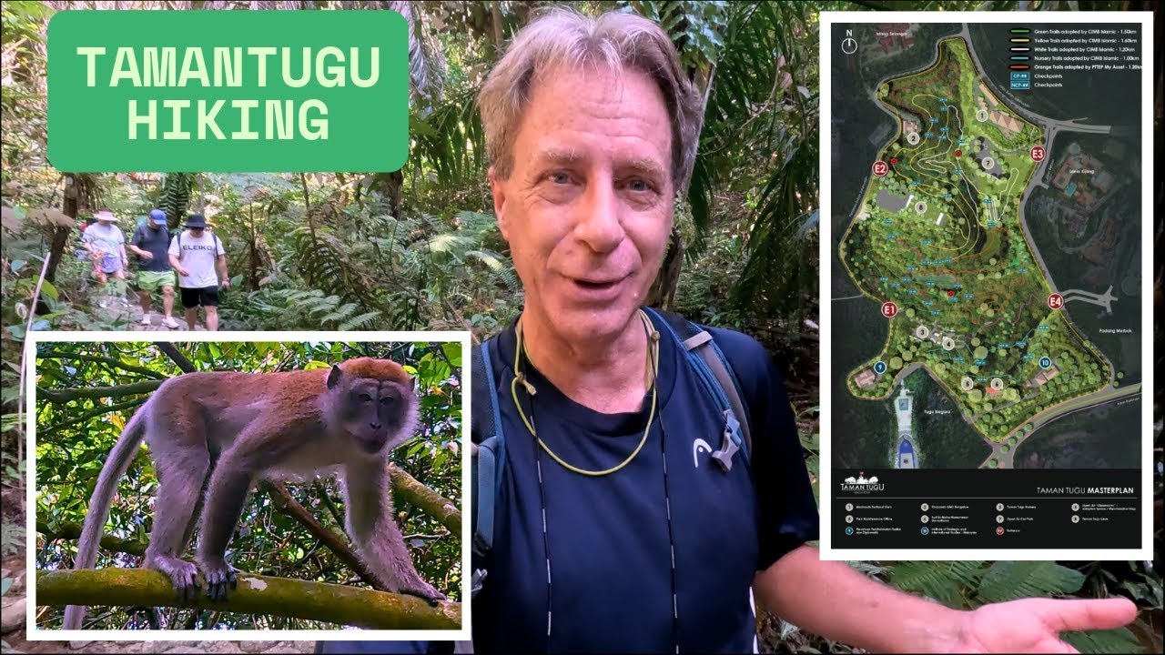🌿 Exploring Taman Tugu: Kuala Lumpur’s Hidden Rainforest Escape! 🇲🇾 | Hiking, Monkeys & History