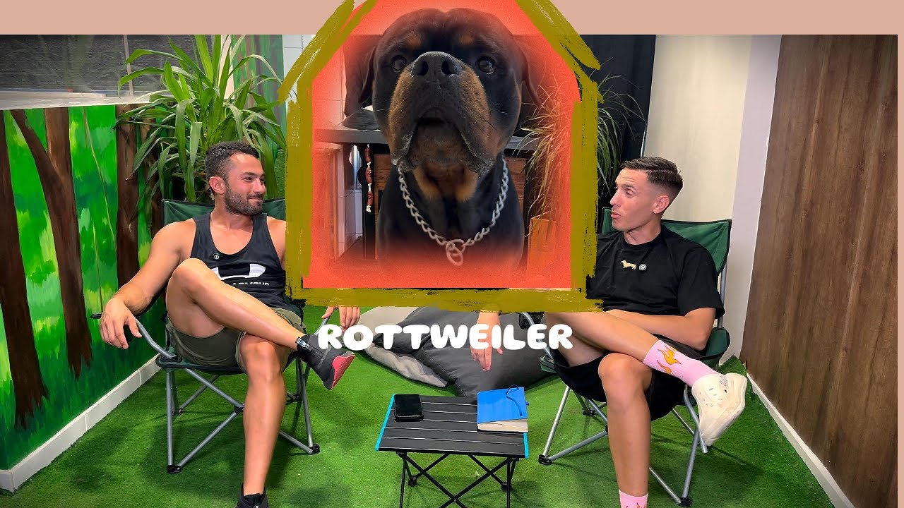 Τι πρέπει να ξέρεις πρωτού  πάρεις Rottweiler
