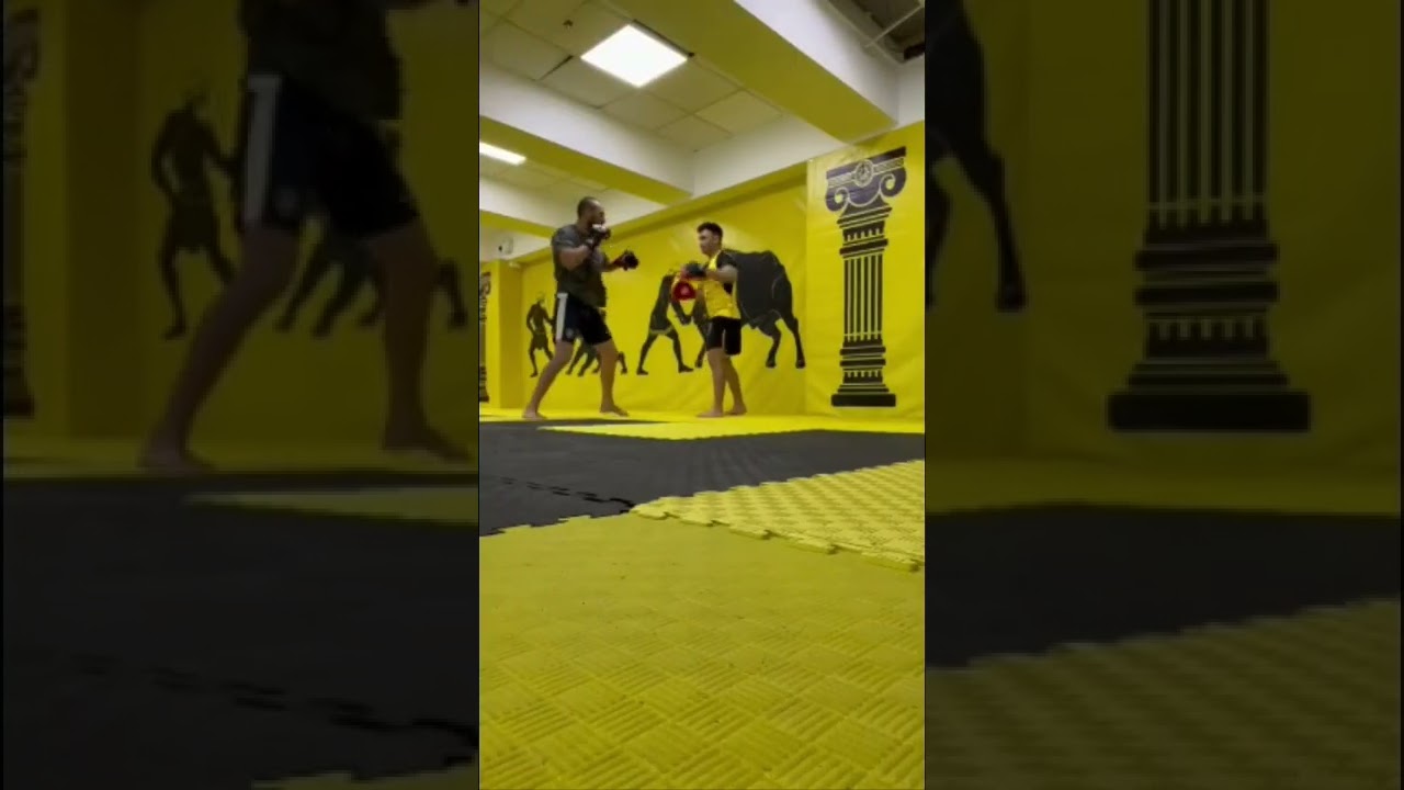 Antrenament MMA de calitate! 🦅 #muaythai #rom&acirc;nia #kickboxing #gym #jvd #personaltrainer #mma 🇷🇴