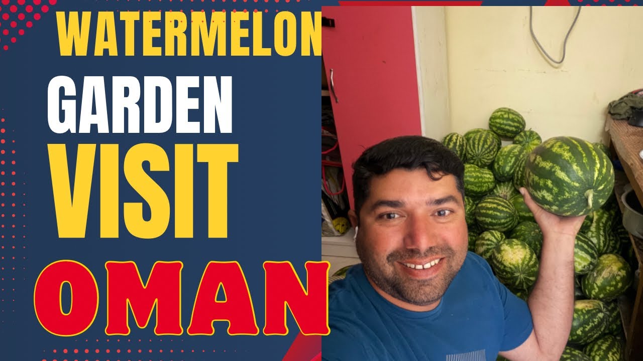 Watermelon garden visit with friends,Omanvlog,Oman desert life,trip to watermelon garden 
