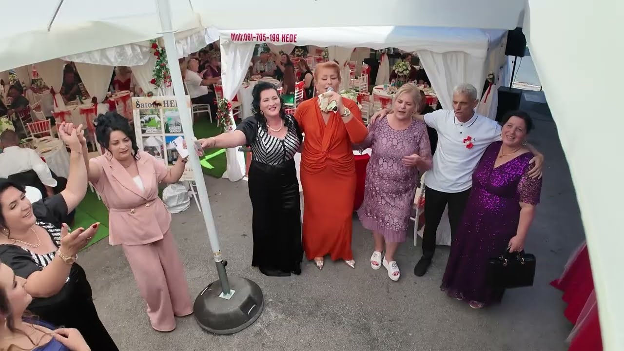 Aldin i Adisa - svadbeno veselje kod mlade - Ćanin dolazak