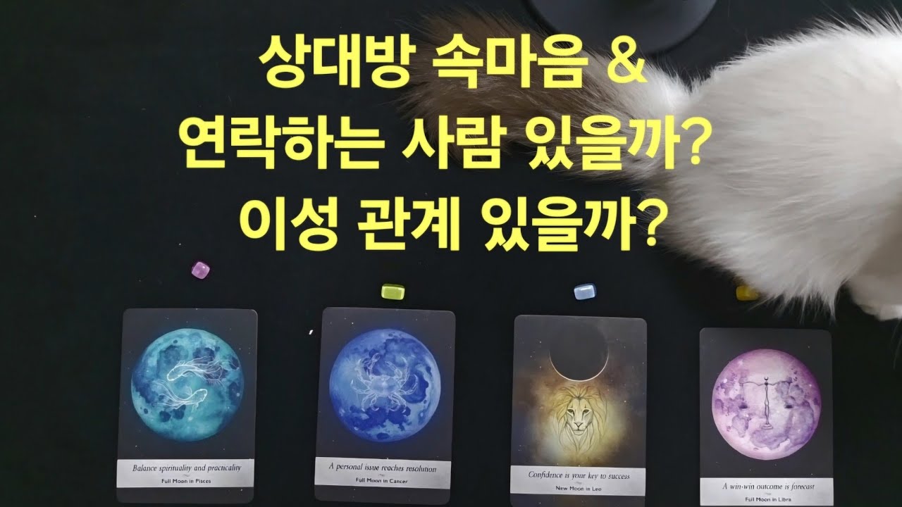 [타로]상대방 속마음& 연락하는 이성 있을까? 이성관계 있을까?'