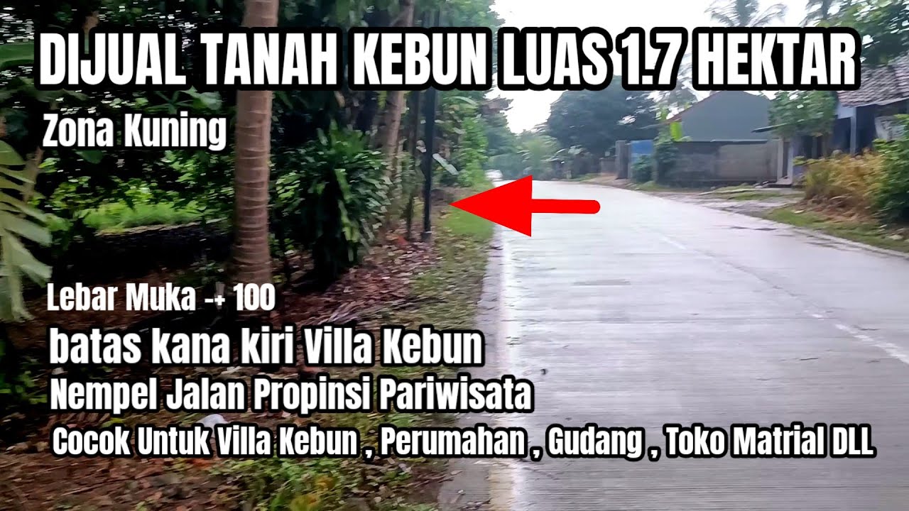 Dijual Tanah Kebun Ideal Luas 1.7 Hektar, Nempel Jalan Utama Provinsi, Jalur Pariwisata Ramai