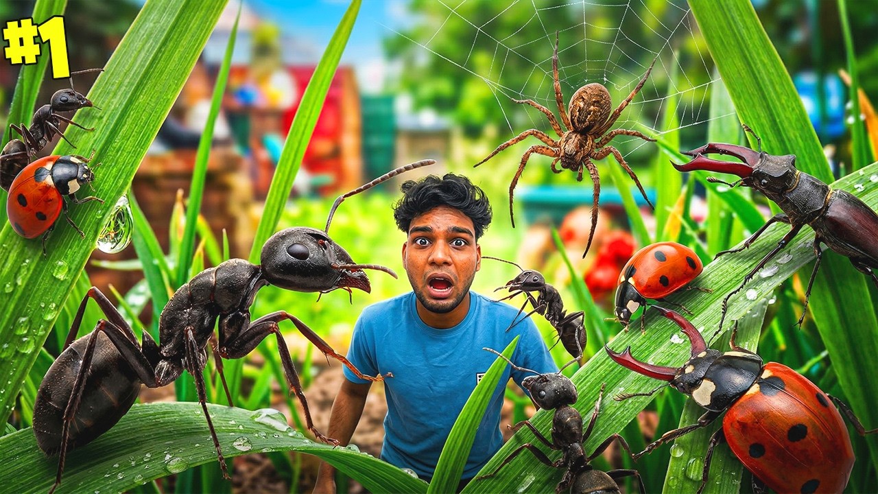 Новый мини-режим выживания 🥶🥶 | Геймплей на карте Grounded 😍 | Часть 1 | George Gaming |