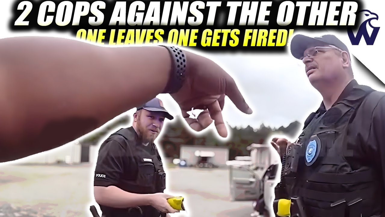 Cops Fight At Traffic Stop | Good Cop May Have Finally Been Found | But He Got Fired