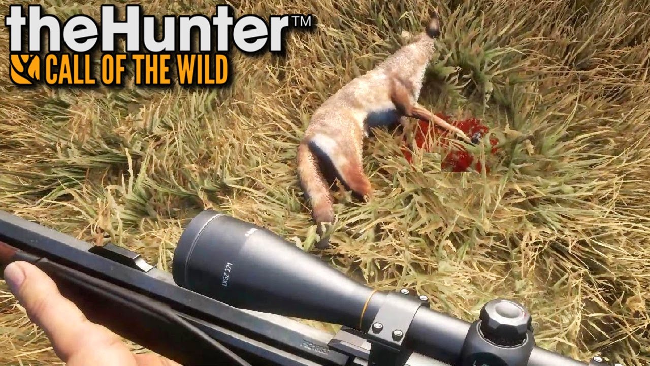 Kojoty | theHunter: Call of the Wild (#13)