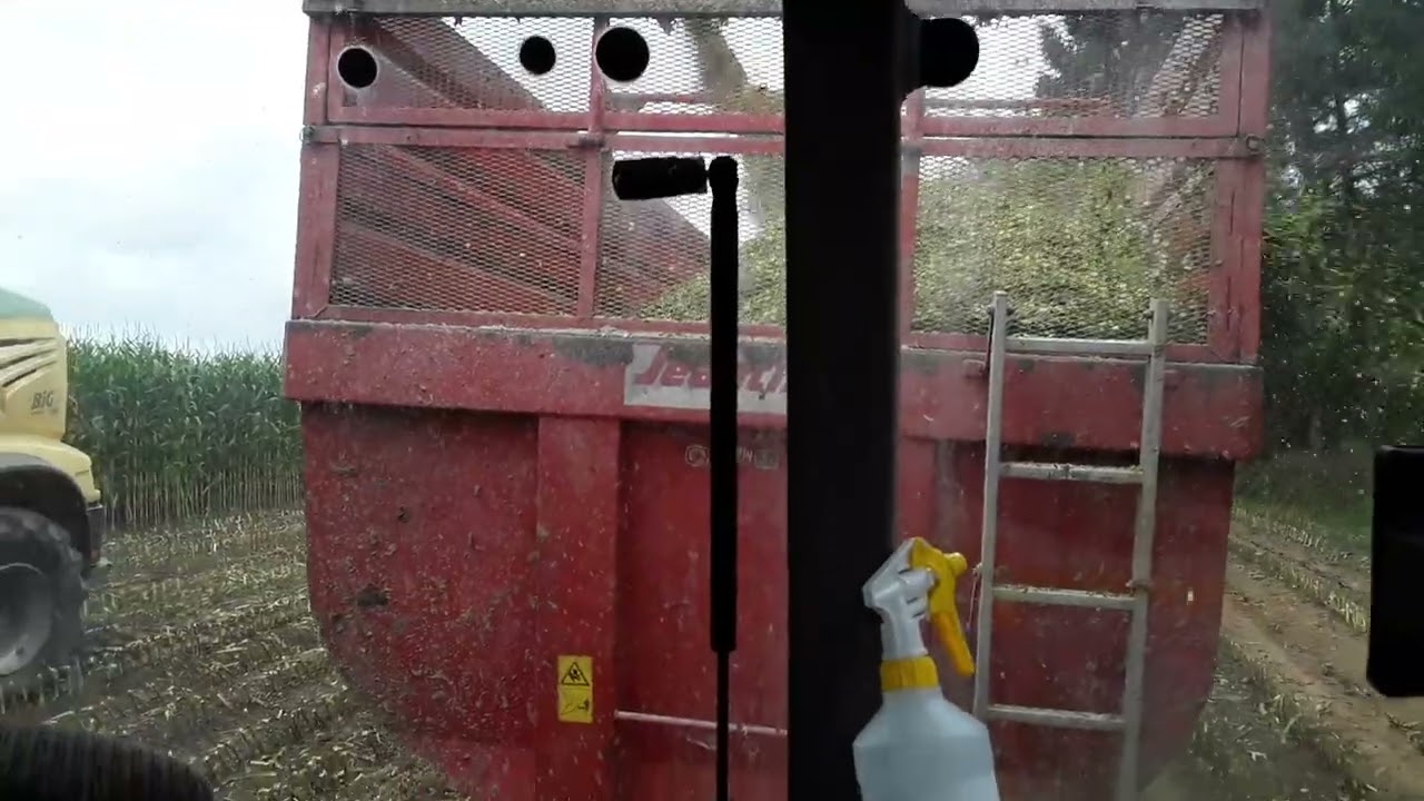 Ensilage maïs