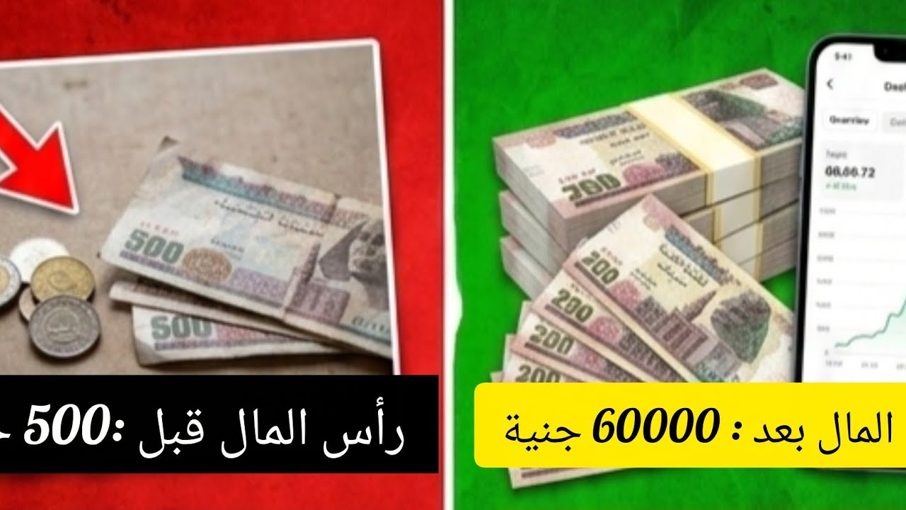 مشروع بدأ برأس مال500 جنية وحاليا رأس المال 60 الف جنيه 💵 من غير قروض ولا محل ولا اعلانات #مشروع