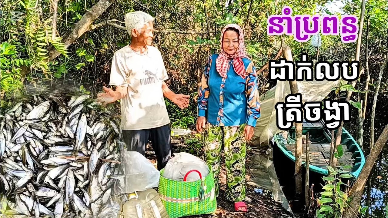នាំប្រពន្ធដាក់លបត្រីចង្វារ/Bring your wife to put the fish in the chongva.🙏🙏🌹♥️