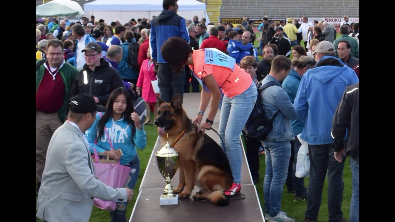 2017 SV BSZS in Ulm 3 rd Day part 21 slideshow finishing
