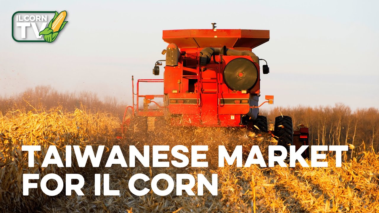 Harvest Is On, Taiwan An Option For IL Corn and Comment Period Over for Atrizine | IL Corn TV #19