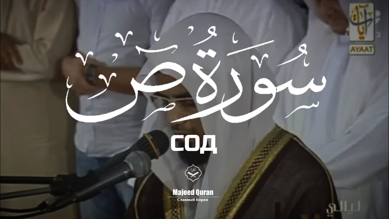 Абу-Бакр Аш-Шатри:Сура 