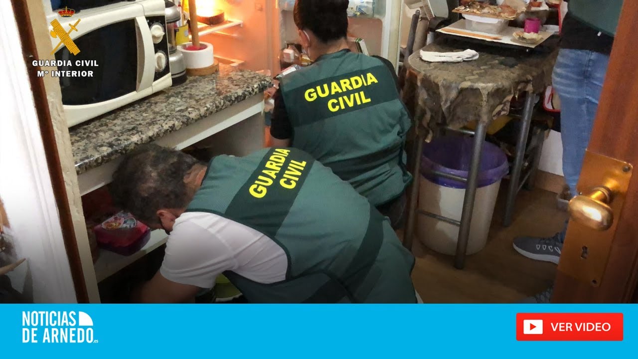 Operación Lupino en Arnedo - Desmantelados  dos 
