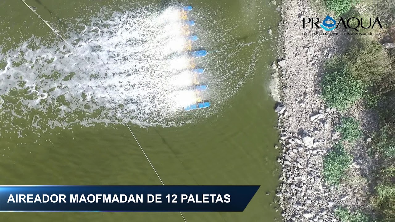 Aireador de 12 paletas marca MaofMadan