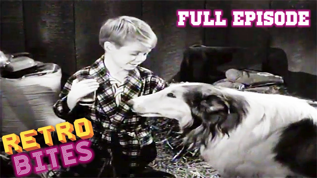Lassie | Campout | Full Episodes | Old Cartoons | Old Cartoons