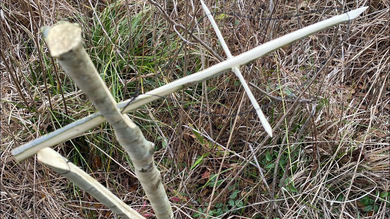 Ojibwa Bird Snare. Reimagined! Survival Trapping!
