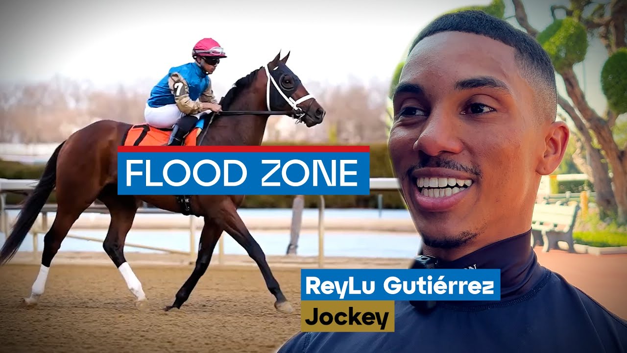Flood Zone выигрывает Gotham Stakes с жокеем Рейлу Гутьерес