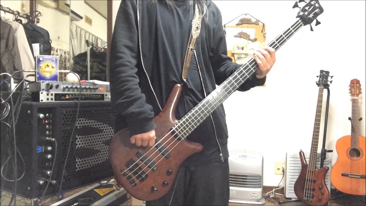 Korn Got the life / bass cover