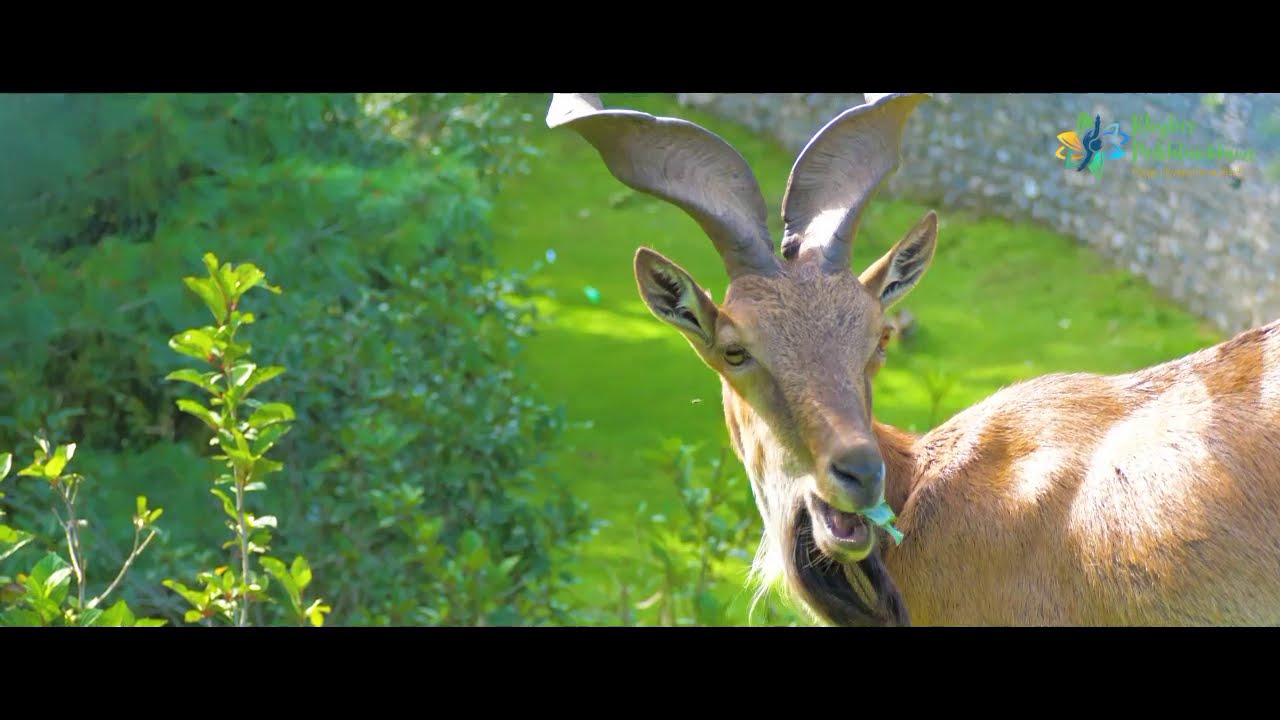 Explore Khyber Pakhtunkhwa