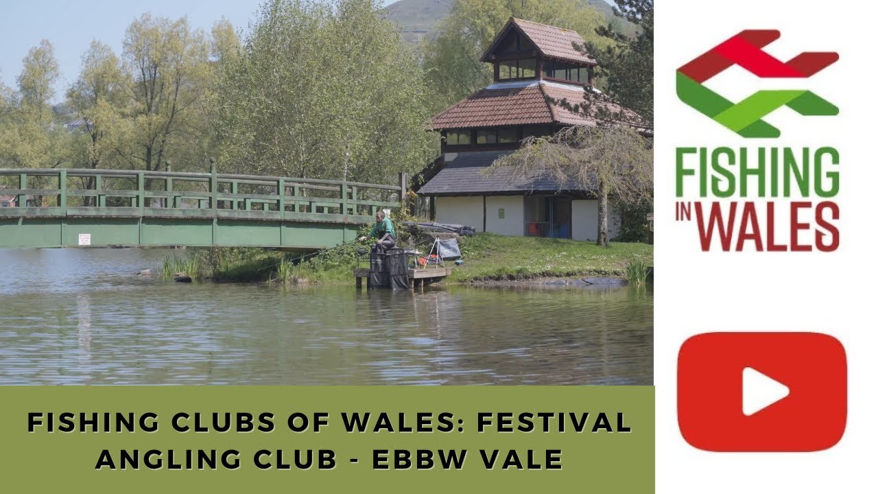 Fishing clubs of Wales: Festival Angling Club - Match, Coarse and Carp fishing at Ebbw Vale