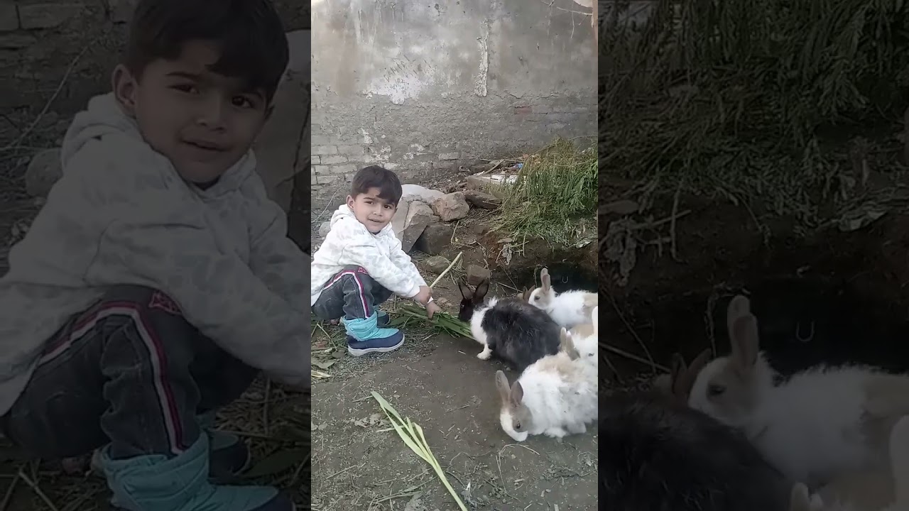 🐰👶 Khargosh Aur Banja Ki Masti | Cute Family Video